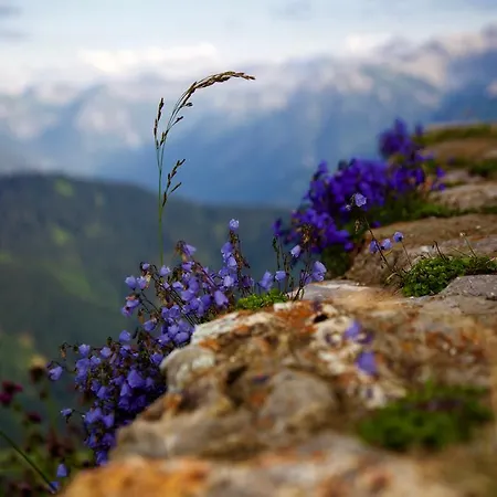 Gruben Hotel Oberstdorf