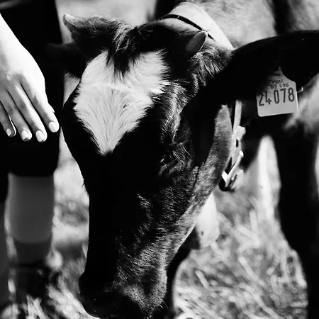 Gruben 3* Oberstdorf