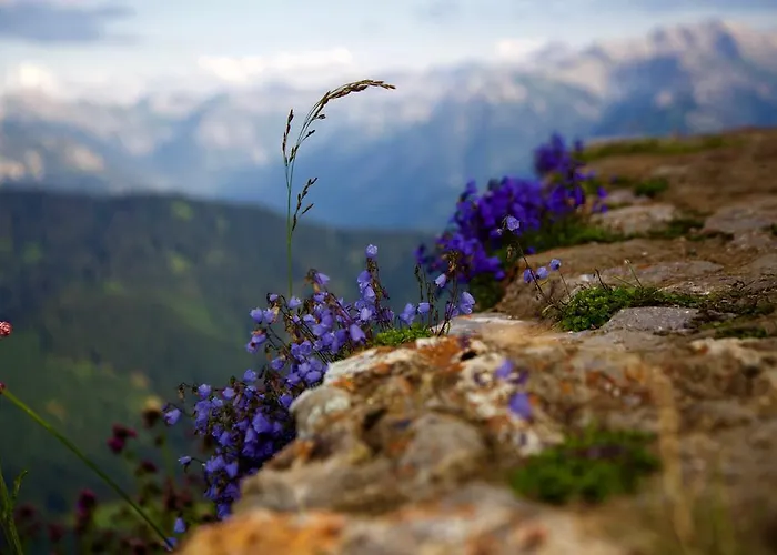 Gruben Hotel Oberstdorf